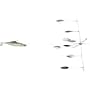 Fishing: Felmlee Flashdancer Rig