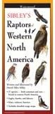 Steven M. Lewers Earth Sky Water LEWERSBPW127 Sibley's Raptors of Western N. America