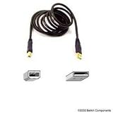A to B USB 2.0 Peripheral Cable 10 foot Gold Series (BLKF3U133V10GLD)