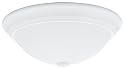 Lithonia Lighting One-Light Fluorescent Flush-Mount Ceiling Fixture, White Globe #11982 WH R4