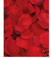 Red Silk Rose Petals - Christmas, Wedding Flowers, Confetti