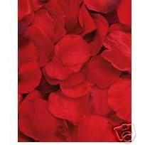 RED SILK ROSE PETALS - VALENTINE'S DAY, WEDDING FLOWERS, CONFETTI