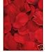 RED SILK ROSE PETALS - VALENTINE'S DAY, WEDDING FLOWERS, CONFETTI