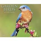 Garden Birds of North America 2009 Wall Calendar