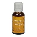 Propolis Tropfen o. Alkohol, 20 ml