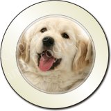 NEW-GOLDEN RETRIEVER PUPPIES Tax Disc Holder