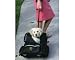 Pet Supplies : Roll Along Carrier & Backpack