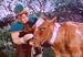 Search : Jack and the Beanstalk (1952)Abbott and Costello's musical version of the classic fairytale.