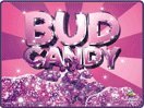 21zcTXjxBEL. SL160  Advanced Nutrients Bud Candy   250 mL