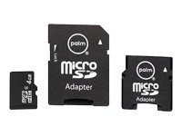 Childrens Toyshop  Computer : Palm 4GB Micro-SDHC Card W/Mini + SD-Adapter