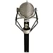 BLUE Dragonfly Cardioid Condenser Microphone