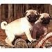 pug21  - Pug Mousepad