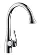 Hansgrohe 06460860 Allegro E SemiPro Kitchen Faucet, Steel Optik
