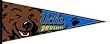 Ucla Bruins 12 X 30 Pennant