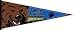 UCLA 12" X 30" Pennant
