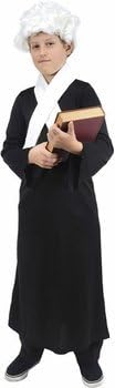 Boy's Colonial Lawyer Halloween Costume (Size: Small 6-8) by AJ Costumes