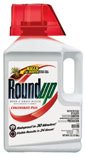Roundup Concentrate Weed And Grass Killer