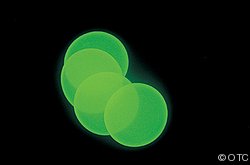 Glow in the Dark Flying Disks