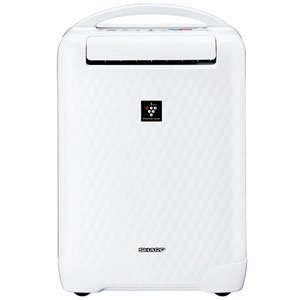 CV-A100-W [�ץ饺�ޥ��饹��������������]