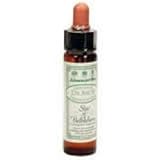 Ainsworths 10 ml Star of Bethlehem Bach Flower Remedy