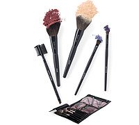 Mary Kay 5 Piece Brush Collection & Black & Pink Cosmetic Organizer