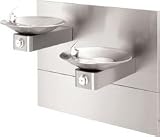 Haws Model 1011MS Hi-Lo Drinking Fountain with Mounting System