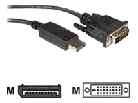 ROLINE DisplayPort Kabel ST/DVI ST 2m Preisvergleich
