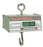 Detecto Hanging Digital Scale - Legal for Trade: 100 lb