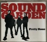 Pretty Noose