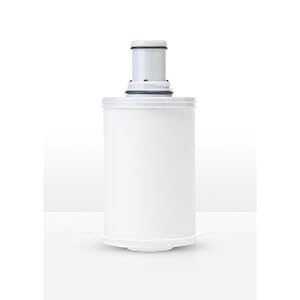 Espring® Carbon Water Treatment System - Replacement Filter 1 Filter