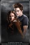 Twilight 2009-2010 Large Poster Calendar