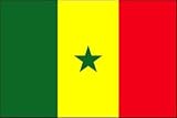 3 x 5 Feet Senegal Poly - outdoor International Flag Made in US.