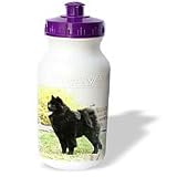 Dogs Chow Chow - Black Chow - Water Bottles
