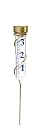 Conant Custom VRG6 Brass Grande View Rain Gauge with Spiral Stake
