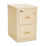 FIR2R1822CPA - Turtle 2-Drawer Insulated File