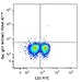 505829-125 ?L - Anti-IFNG Rat Monoclonal Antibody (Brilliant Violet 421) - Each