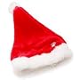Dog Christmas Hat & Antler