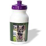 Dogs German Shepherd - German Shepherd Portrait - Water Bottles