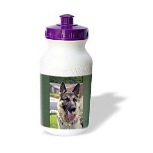 Dogs German Shepherd - German Shepherd Portrait - Water Bottles