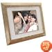 Digital Spectrum 17-Inch Digital Photo Frame (Gold)