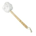 Daylee Naturals Exfoliating Mesh Sponge Brush