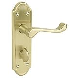 Review Urfic  / Ashworth Backplate Satin Brass WC Lock