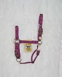 Hamilton Halter Company 8-11 1 Adj Chin Halter W Snap Wine Average - 1DAS AVWN