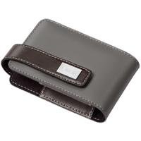 City Travel Guides Discounted   : Casio ESC-80GR Ledertasche für Exilim Cameras, grau