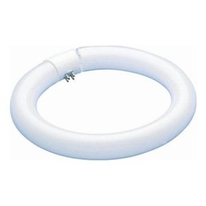 Westinghouse Lighting Corp 32W Fluorescent Bulbs