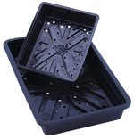 Review Bowers  / Seed Tray 20cm (8