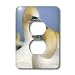 Danita Delimont - Tropical Birds - Gannet tropical birds, Cape Kidnappers New Zealand-AU02 KSC0029 - Kevin Schafer - Light Switch Covers - 2 plug outlet cover