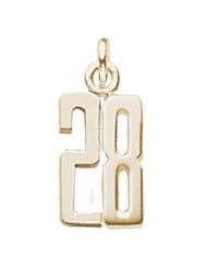 Rembrandt Charms Number 28 Charm