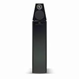 Meridian DSP-6000BK Speakers
