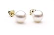 AAA Quality Round 7-7.5mm Akoya SaltWater cultured White Pearl Earrings with 14K Yellow Gold Mount